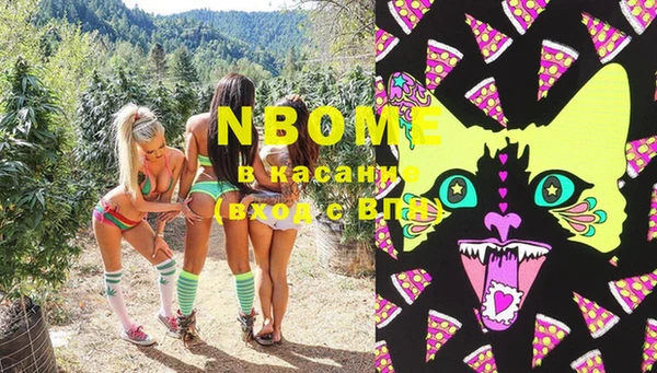 хмурый Бородино