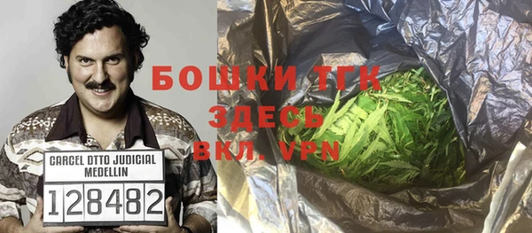 хмурый Бородино