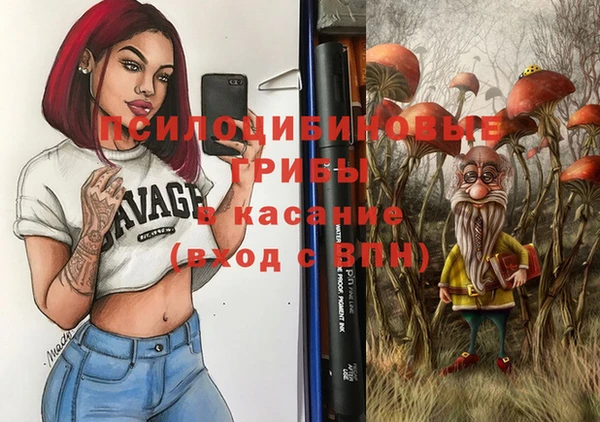 хмурый Бородино