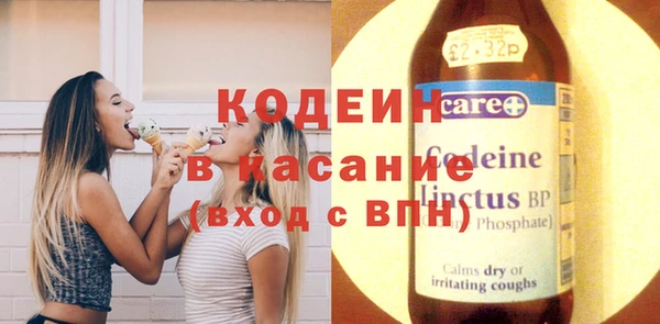 хмурый Бородино