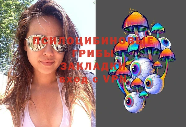 хмурый Бородино