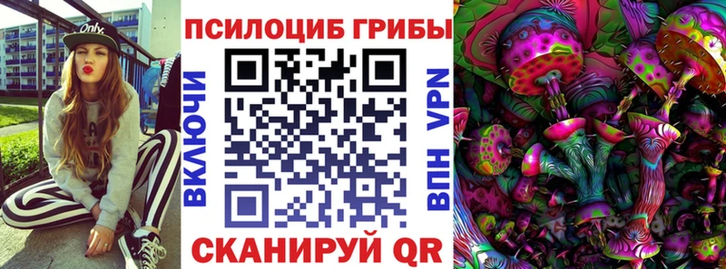 omg как зайти  хочу наркоту  Гудермес  Псилоцибиновые грибы GOLDEN TEACHER 